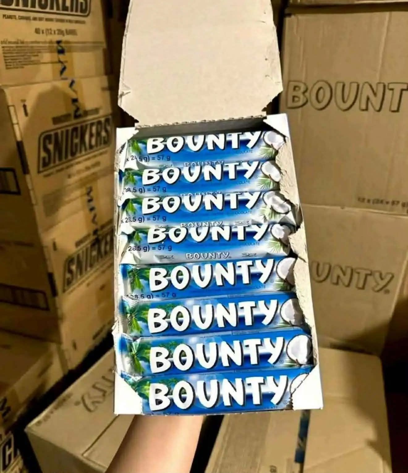 Bounty - Image 2