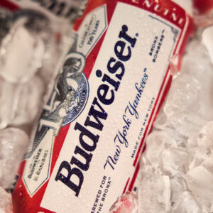 Budweiser Beer