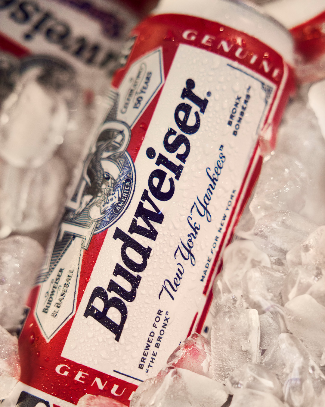 Budweiser Beer